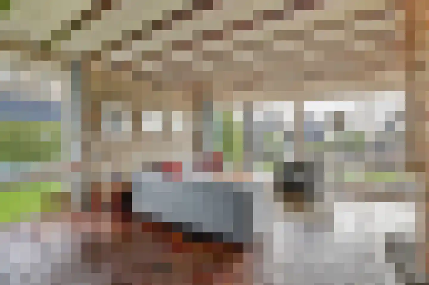 Nr 69 Indijk thumbnail 14