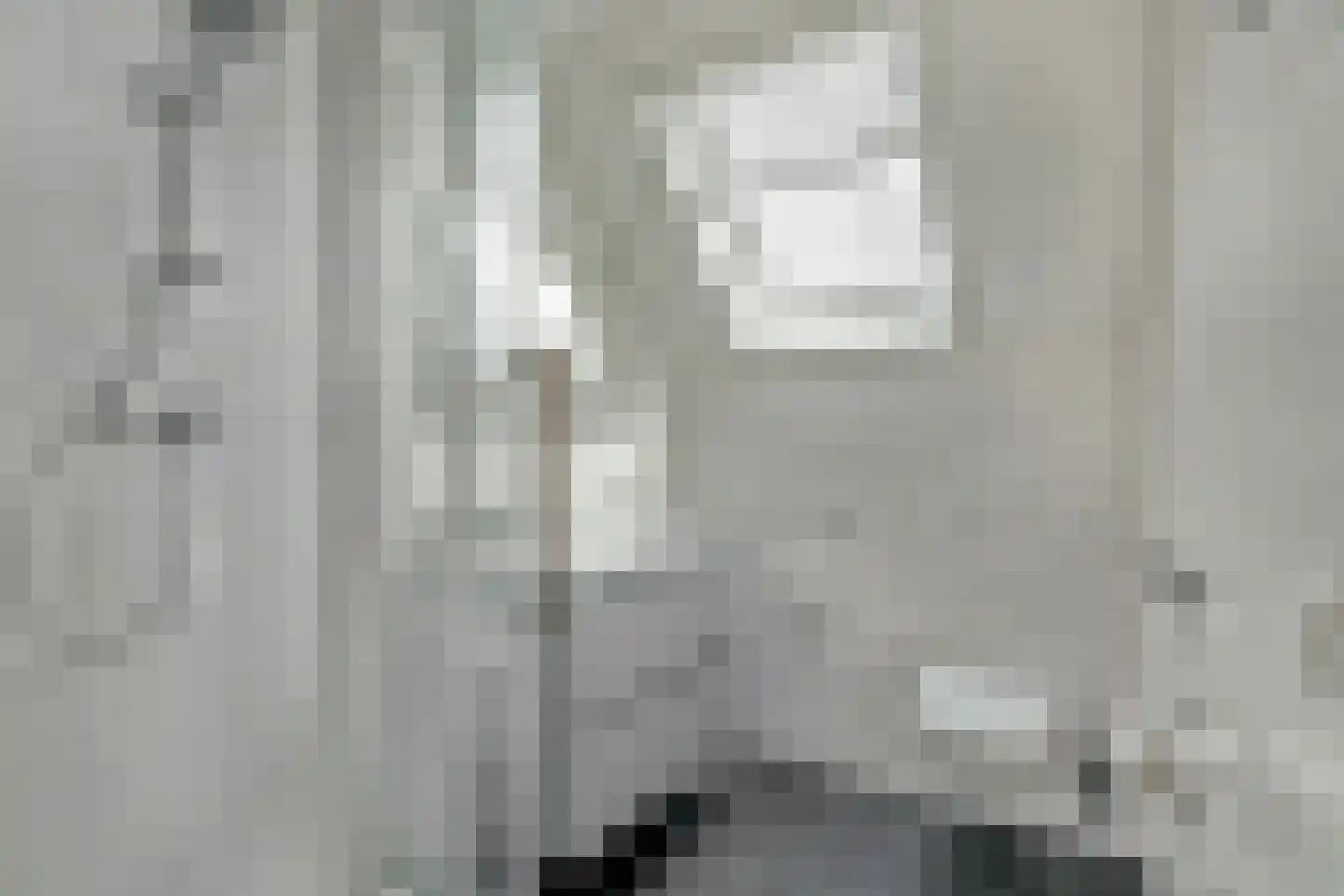 Nr 69 Indijk thumbnail 15