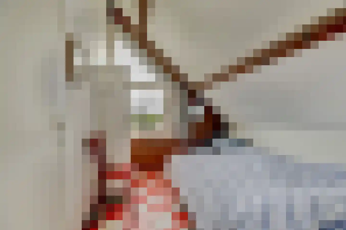 Nr 69 Indijk thumbnail 20