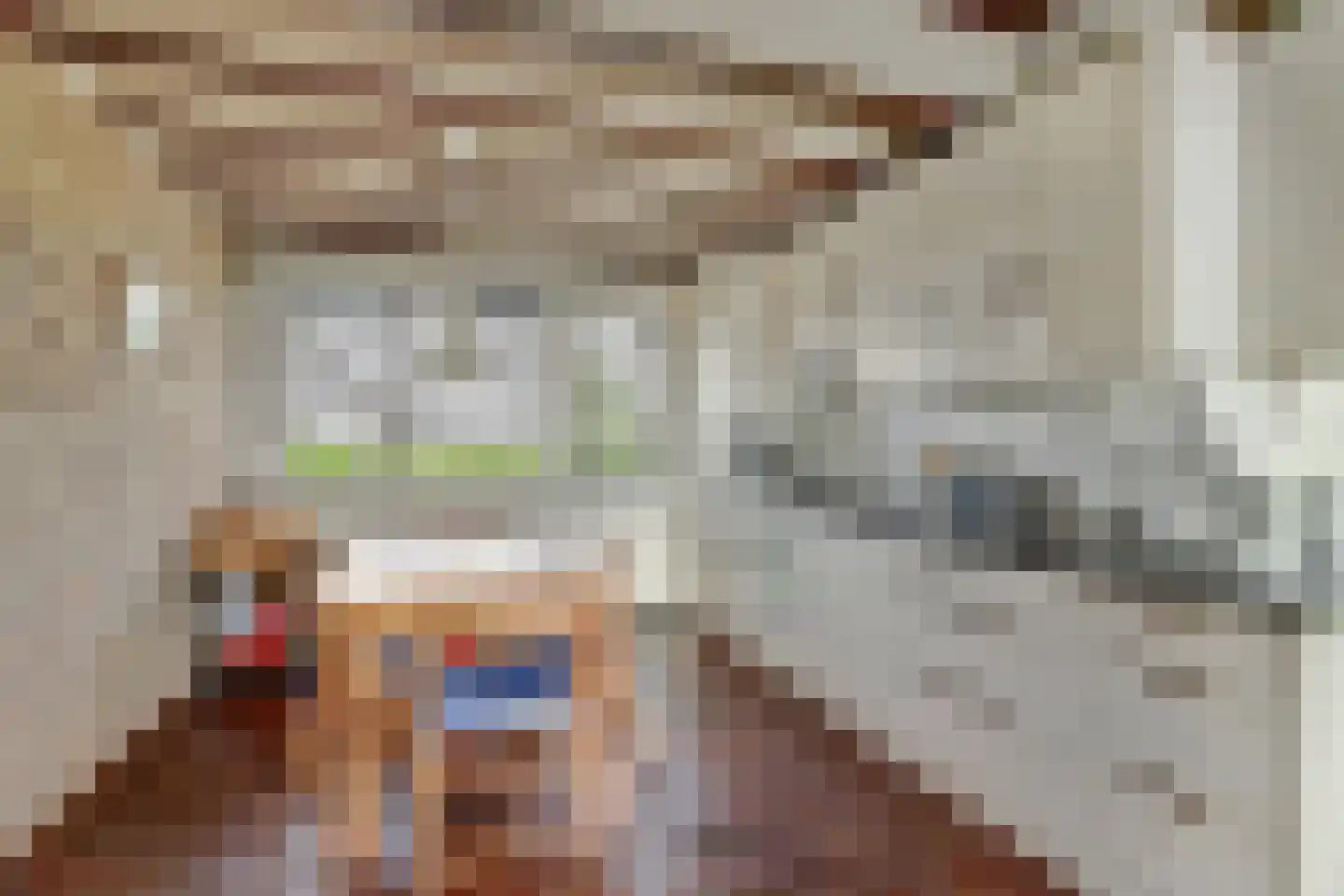 Nr 69 Indijk thumbnail 8