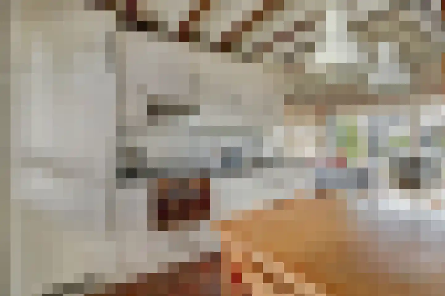 Nr 69 Indijk thumbnail 9
