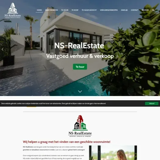 Screenshot of the website of www.ns-realestate.nl