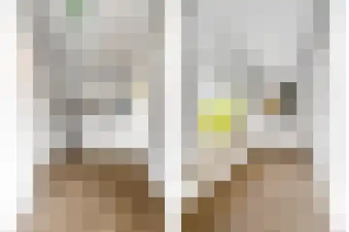 Nucleonweg 2 Roosendaal thumbnail 22