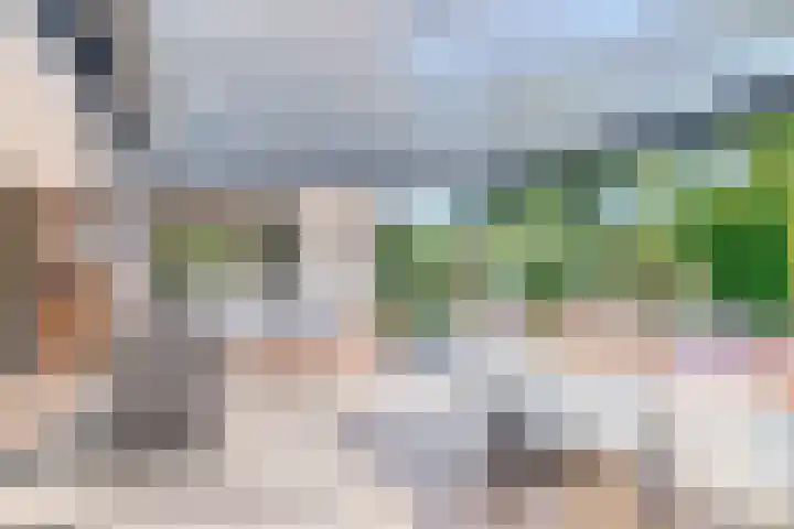 Nucleonweg 2 Roosendaal thumbnail 36
