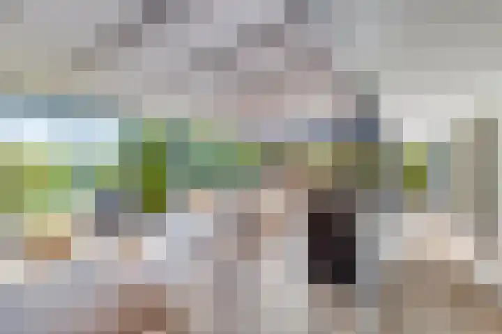 Nucleonweg 2 Roosendaal thumbnail 37