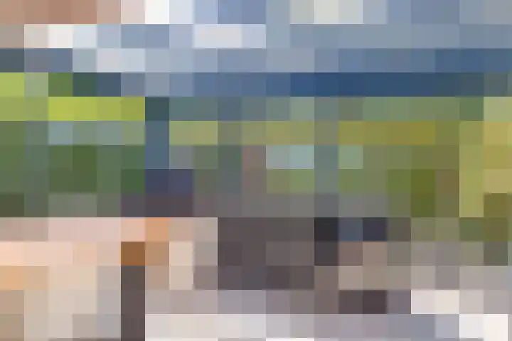Nucleonweg 2 Roosendaal thumbnail 38