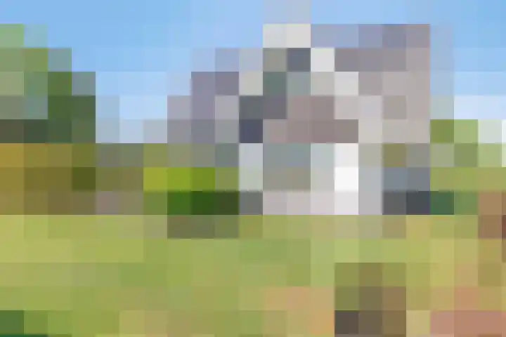 Nucleonweg 2 Roosendaal thumbnail 41