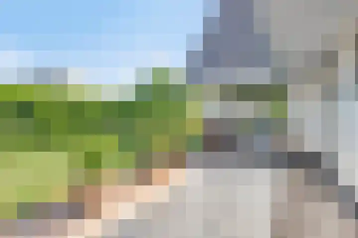 Nucleonweg 2 Roosendaal thumbnail 42