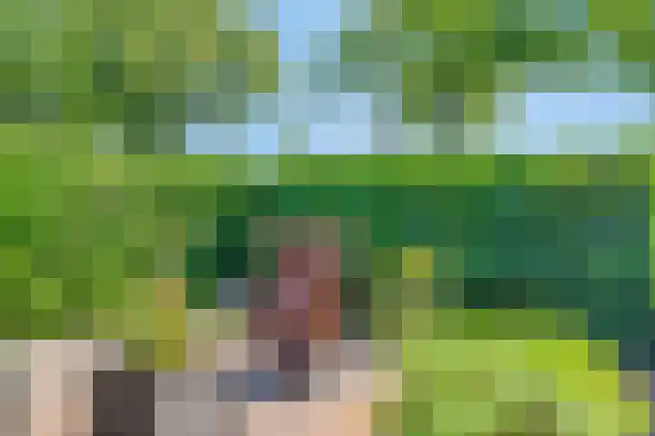 Nucleonweg 2 Roosendaal thumbnail 45