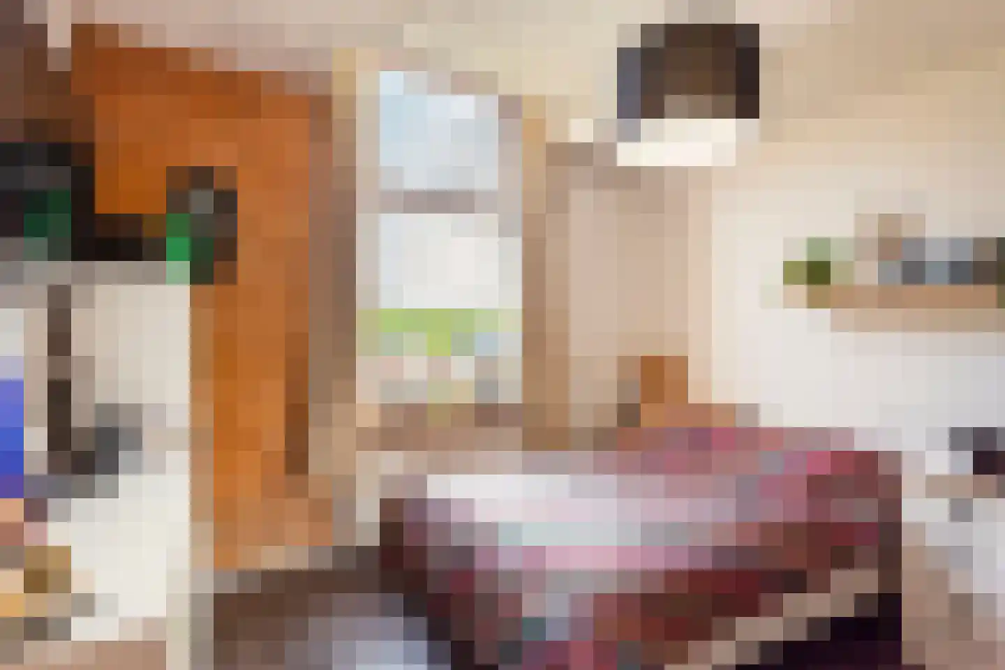 Nude 14 Wageningen thumbnail 12