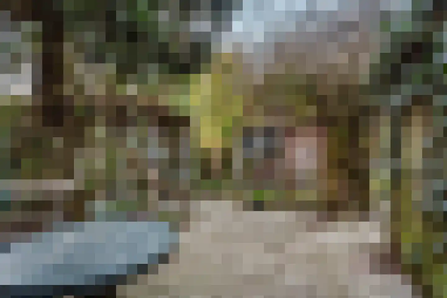 Nude 14 Wageningen thumbnail 18