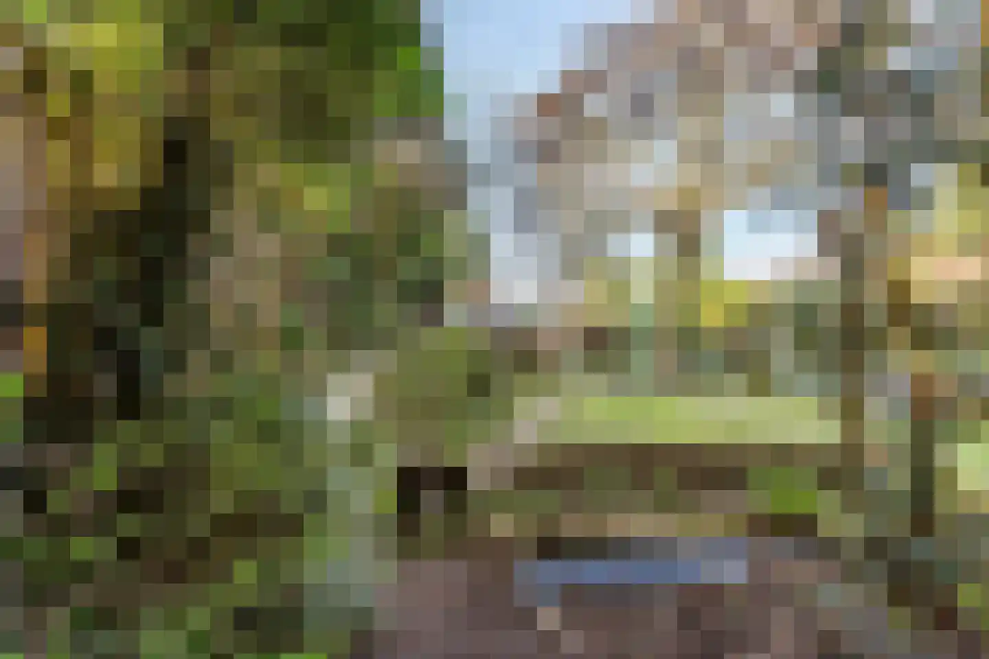 Nude 14 Wageningen thumbnail 19