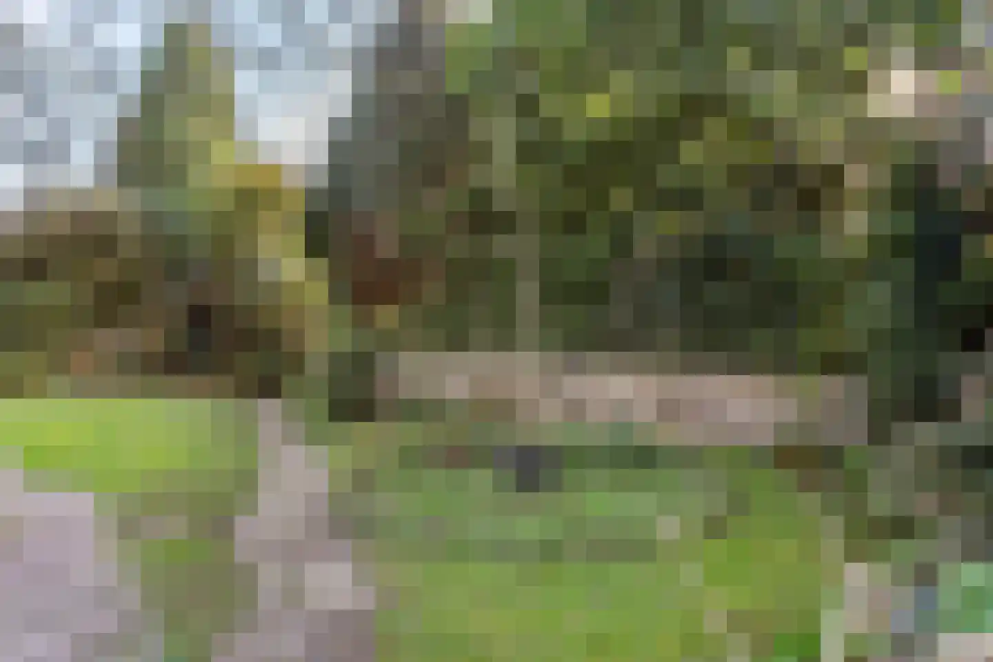 Nude 14 Wageningen thumbnail 20