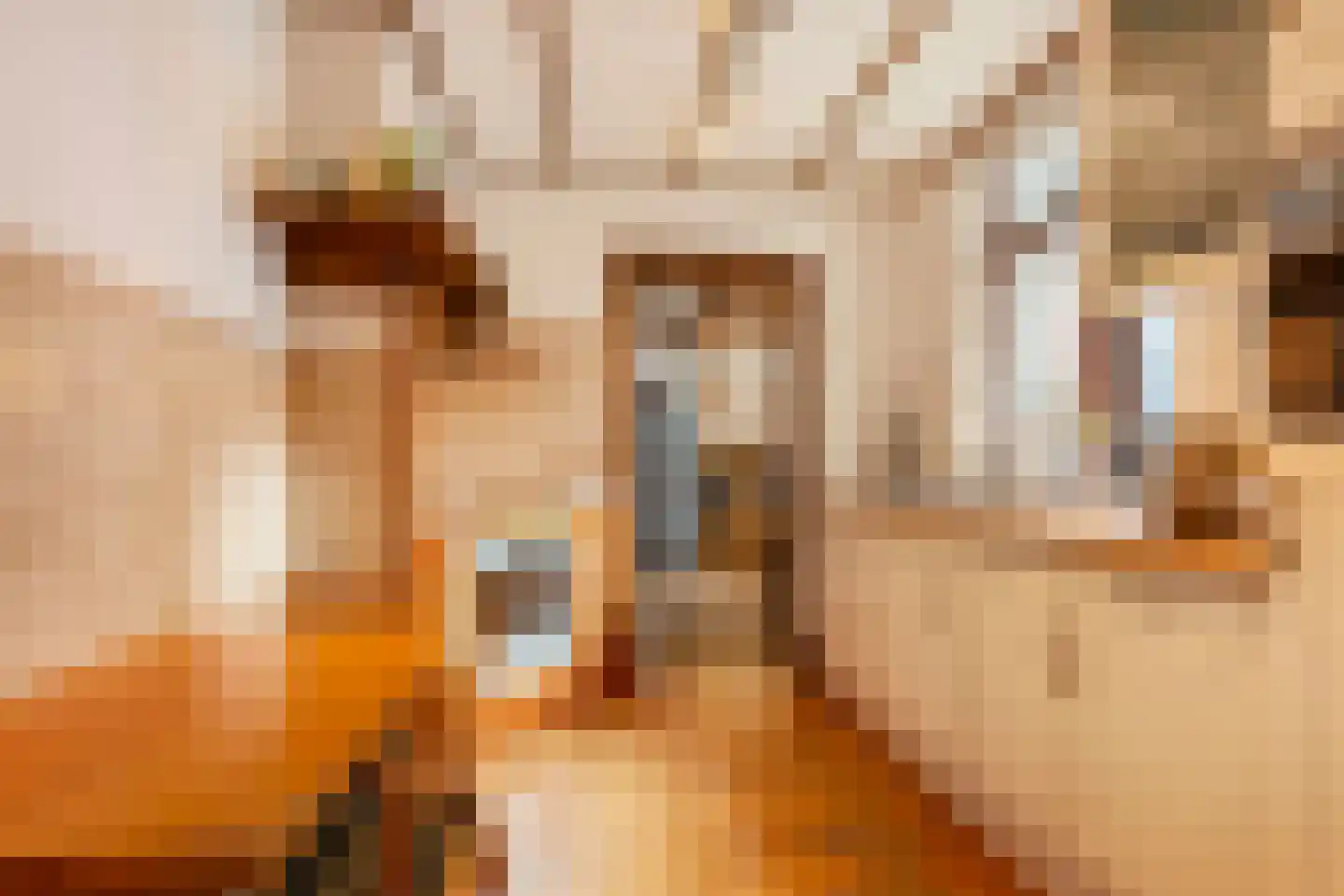 Nude 14 Wageningen thumbnail 9