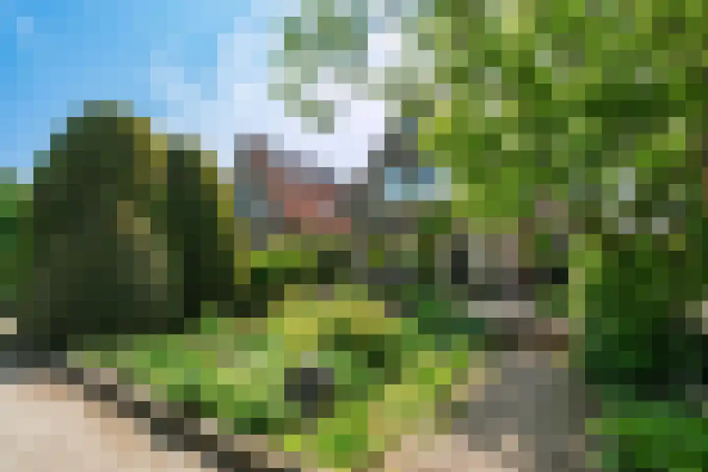 Nude 37 in Wageningen