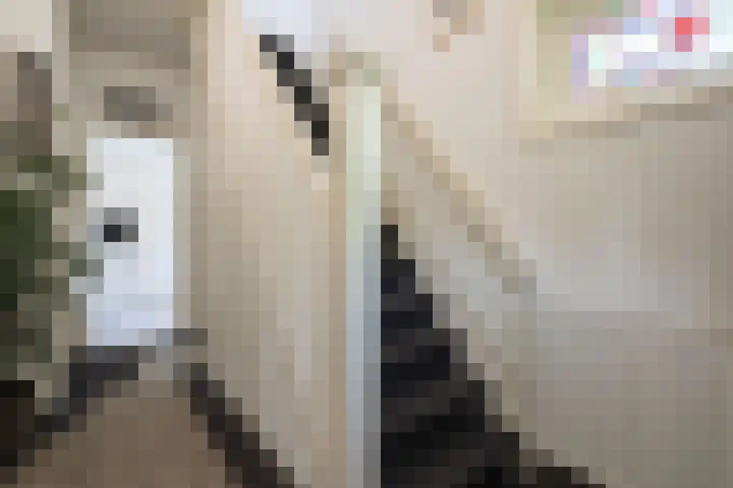 Nude 37 Wageningen thumbnail 16