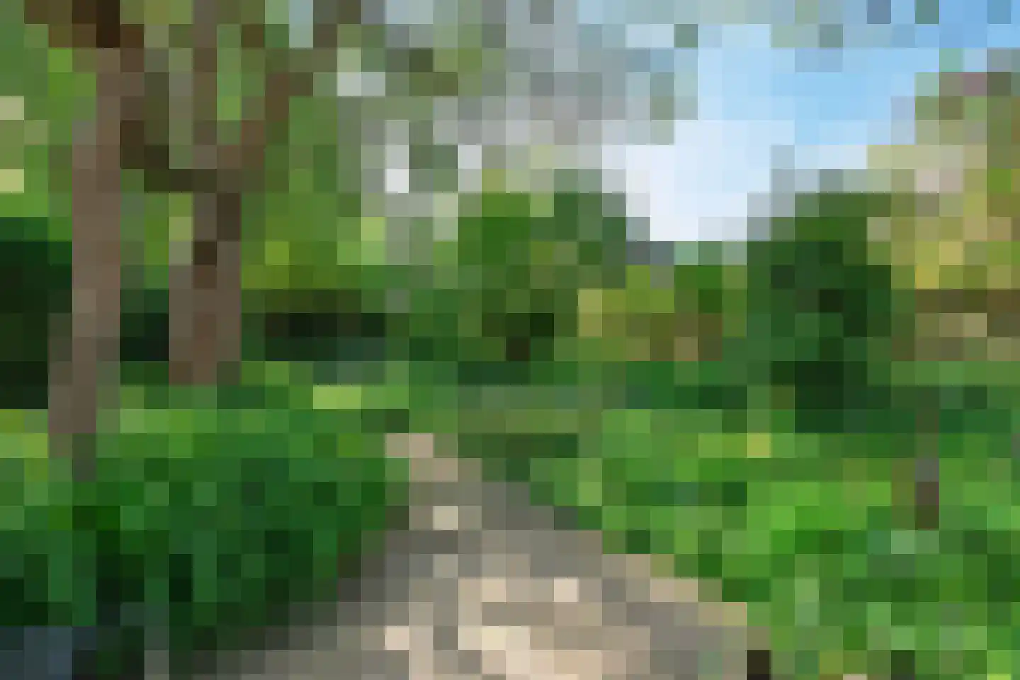 Nude 37 Wageningen thumbnail 31