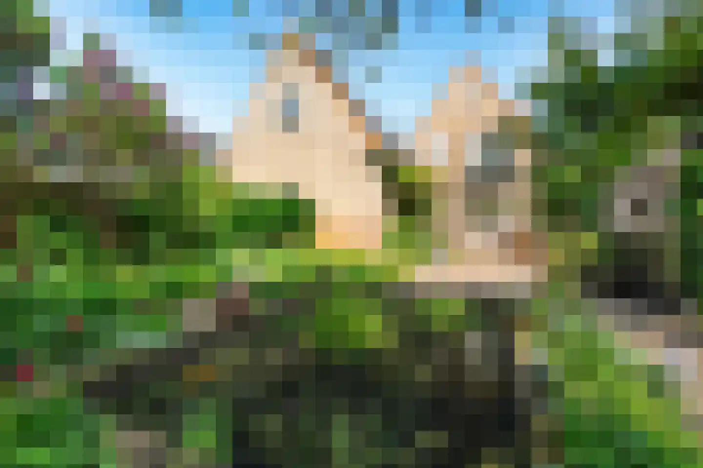 Nude 37 Wageningen thumbnail 34