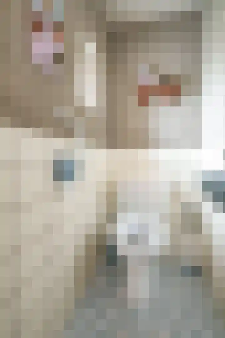 Nude 62 Rhenen thumbnail 23