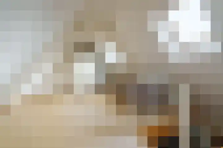 Nude 62 Rhenen thumbnail 34