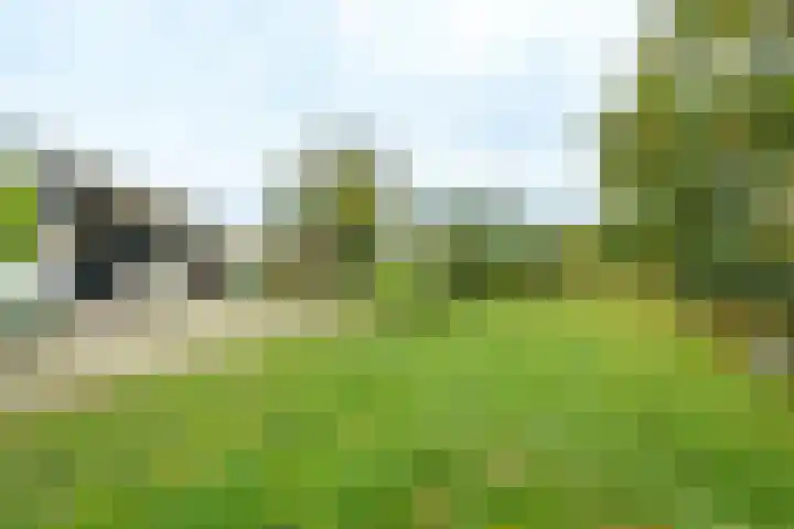 Nude 62 Rhenen thumbnail 36
