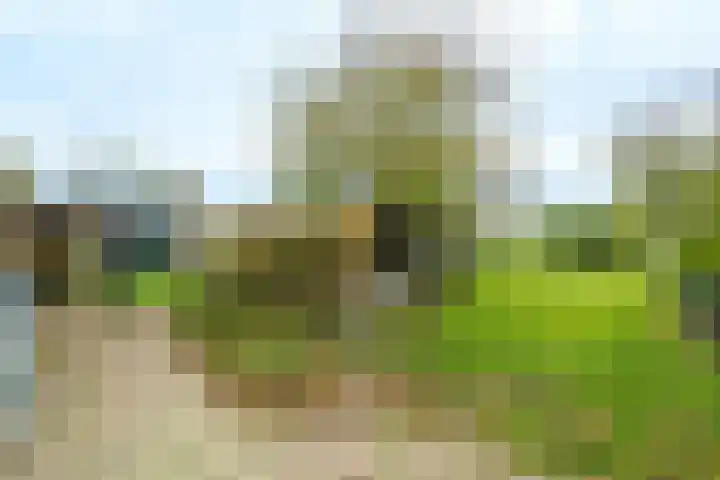 Nude 62 Rhenen thumbnail 39