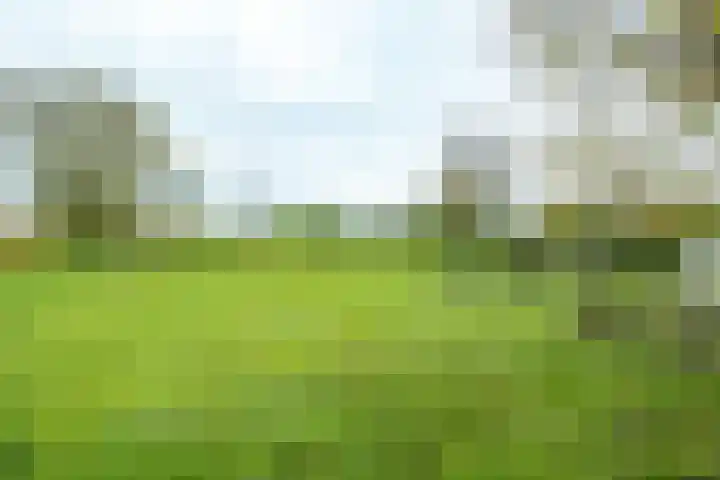 Nude 62 Rhenen thumbnail 40