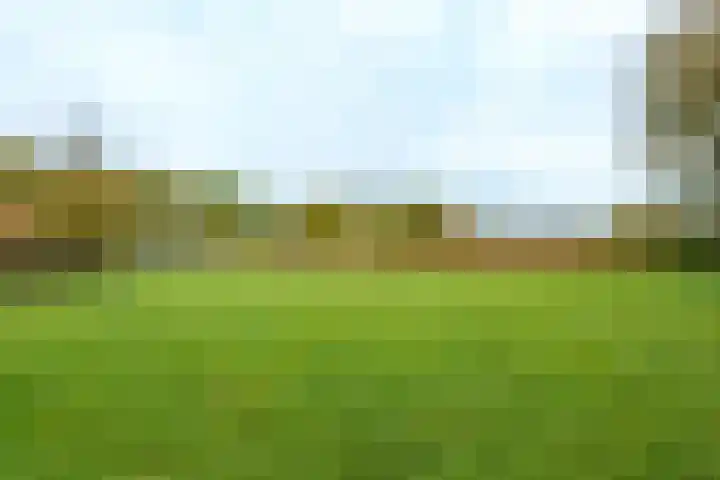 Nude 62 Rhenen thumbnail 41