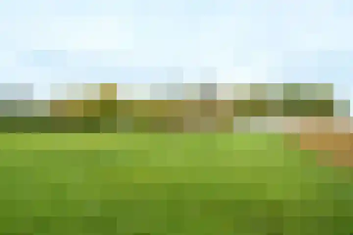 Nude 62 Rhenen thumbnail 42