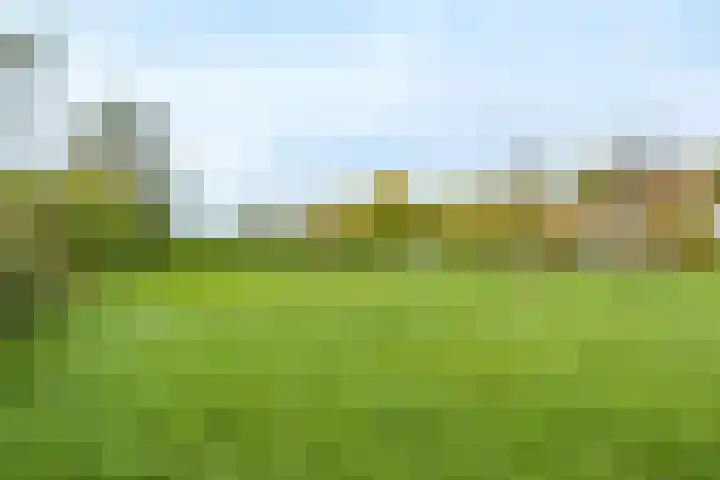 Nude 62 Rhenen thumbnail 43