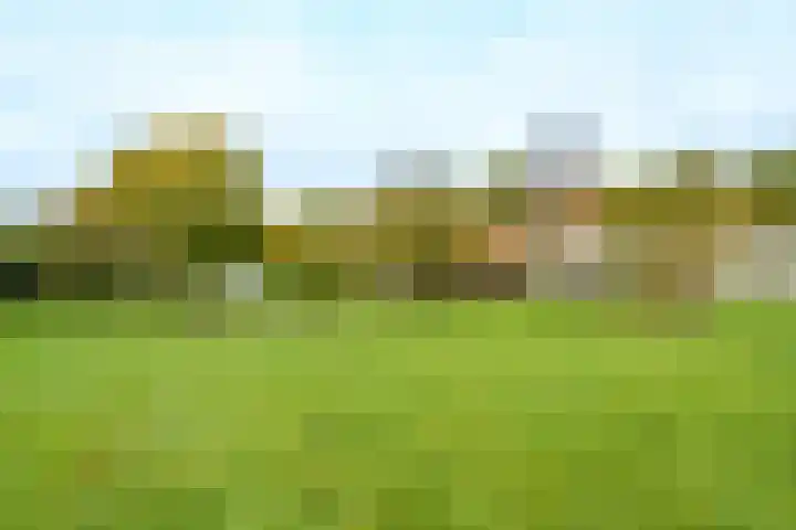 Nude 62 Rhenen thumbnail 44