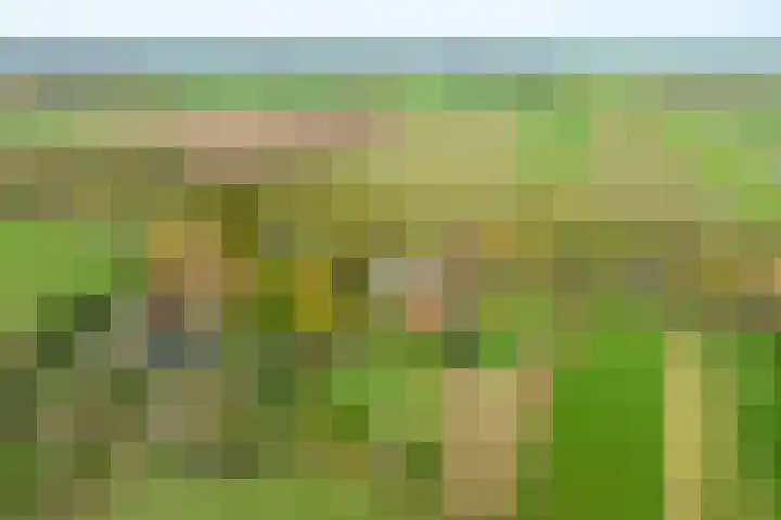 Nude 62 Rhenen thumbnail 46