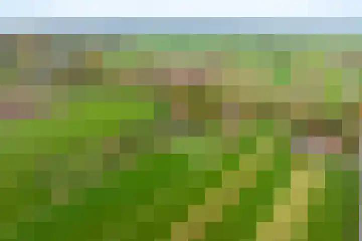 Nude 62 Rhenen thumbnail 47