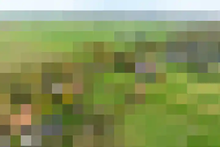Nude 62 Rhenen thumbnail 48