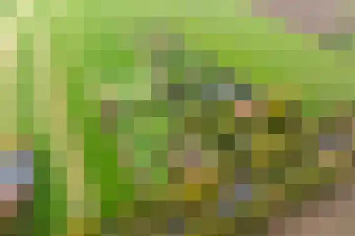 Nude 62 Rhenen thumbnail 49