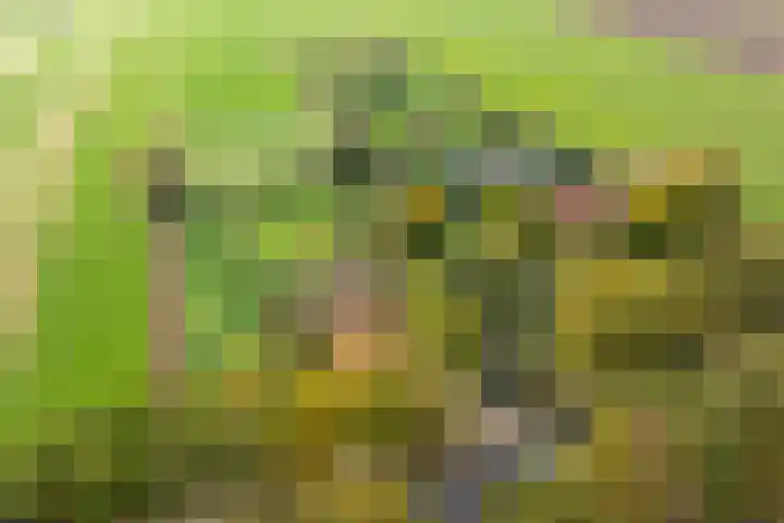 Nude 62 Rhenen thumbnail 50