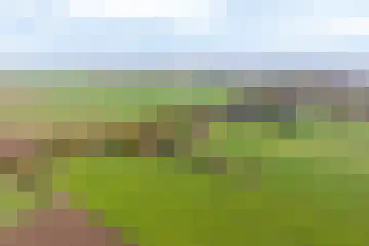 Nude 62 Rhenen thumbnail 52