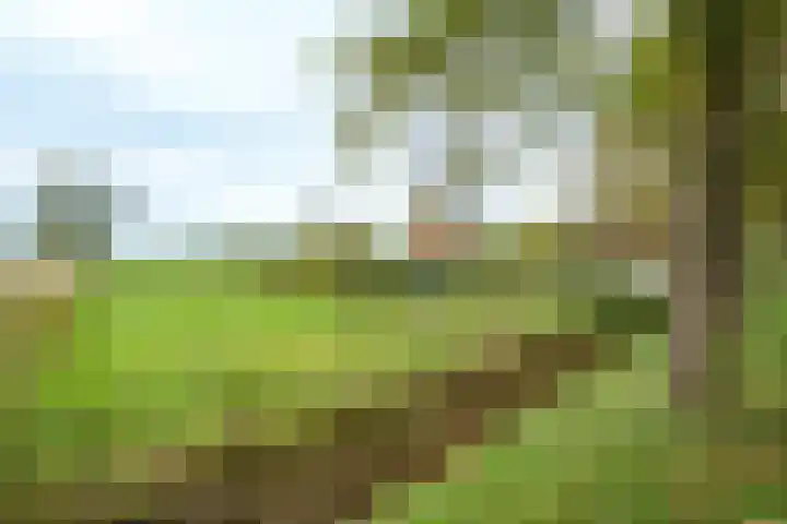 Nude 62 Rhenen thumbnail 6