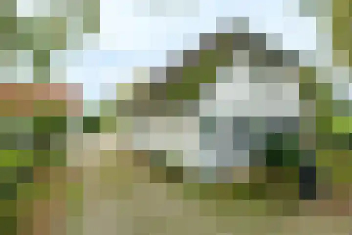 Nude 62 Rhenen thumbnail 8