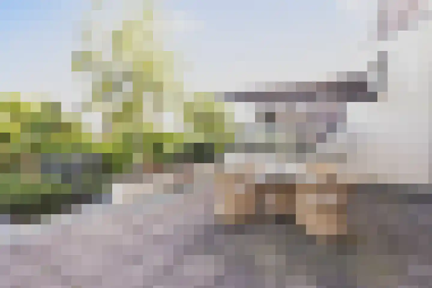 Nudestraat 1 Wageningen thumbnail 19
