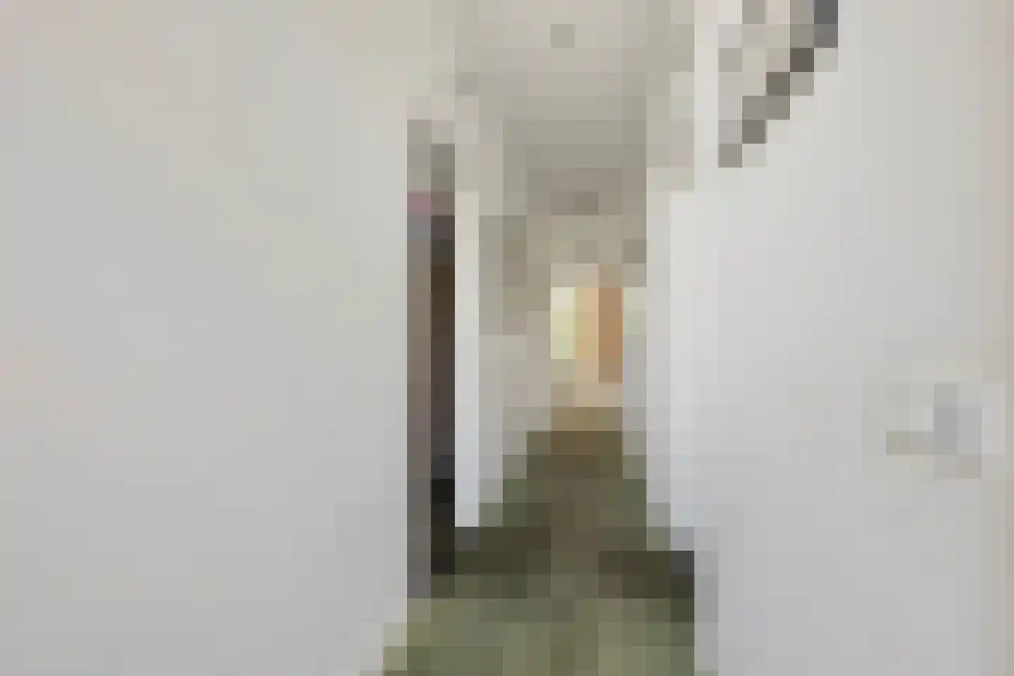 Nudestraat 1 Wageningen thumbnail 20