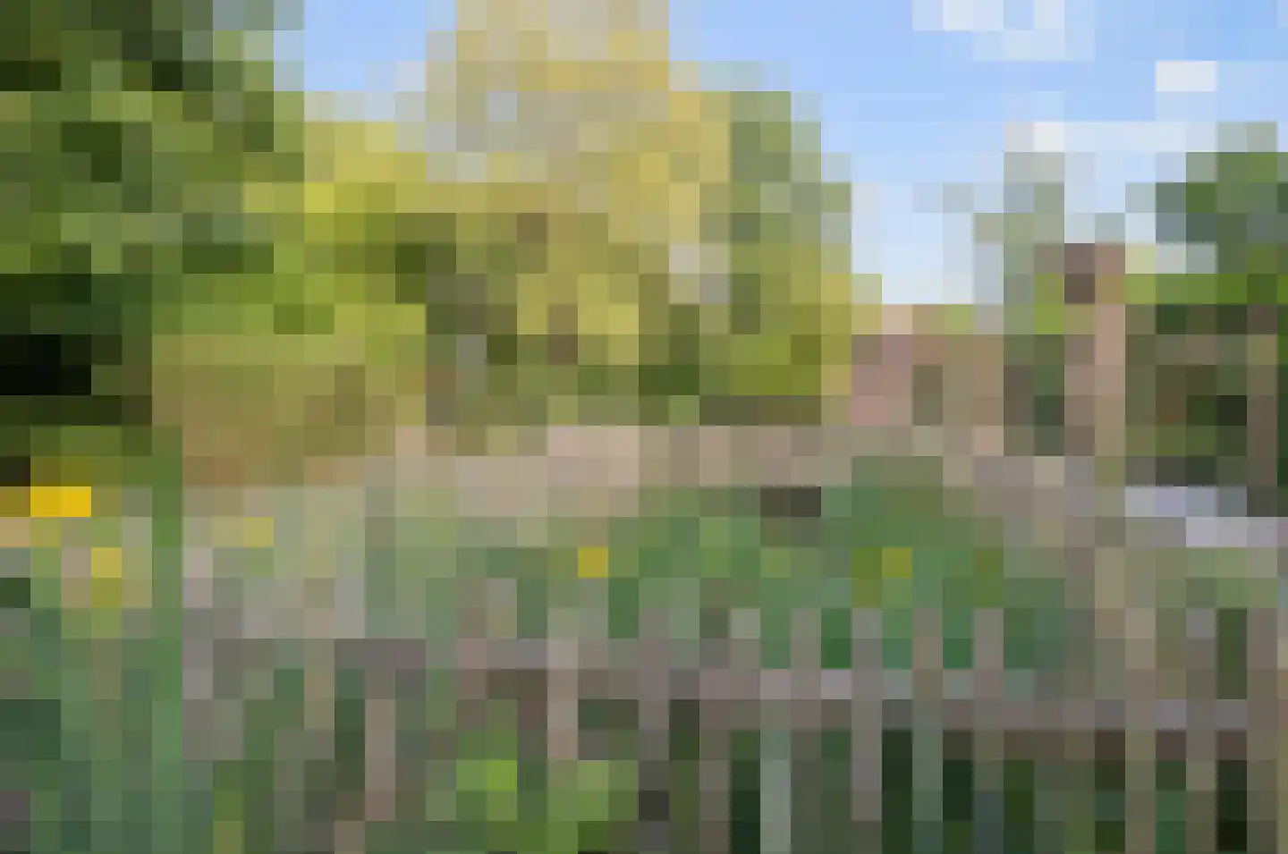 Nudestraat 1 Wageningen thumbnail 33