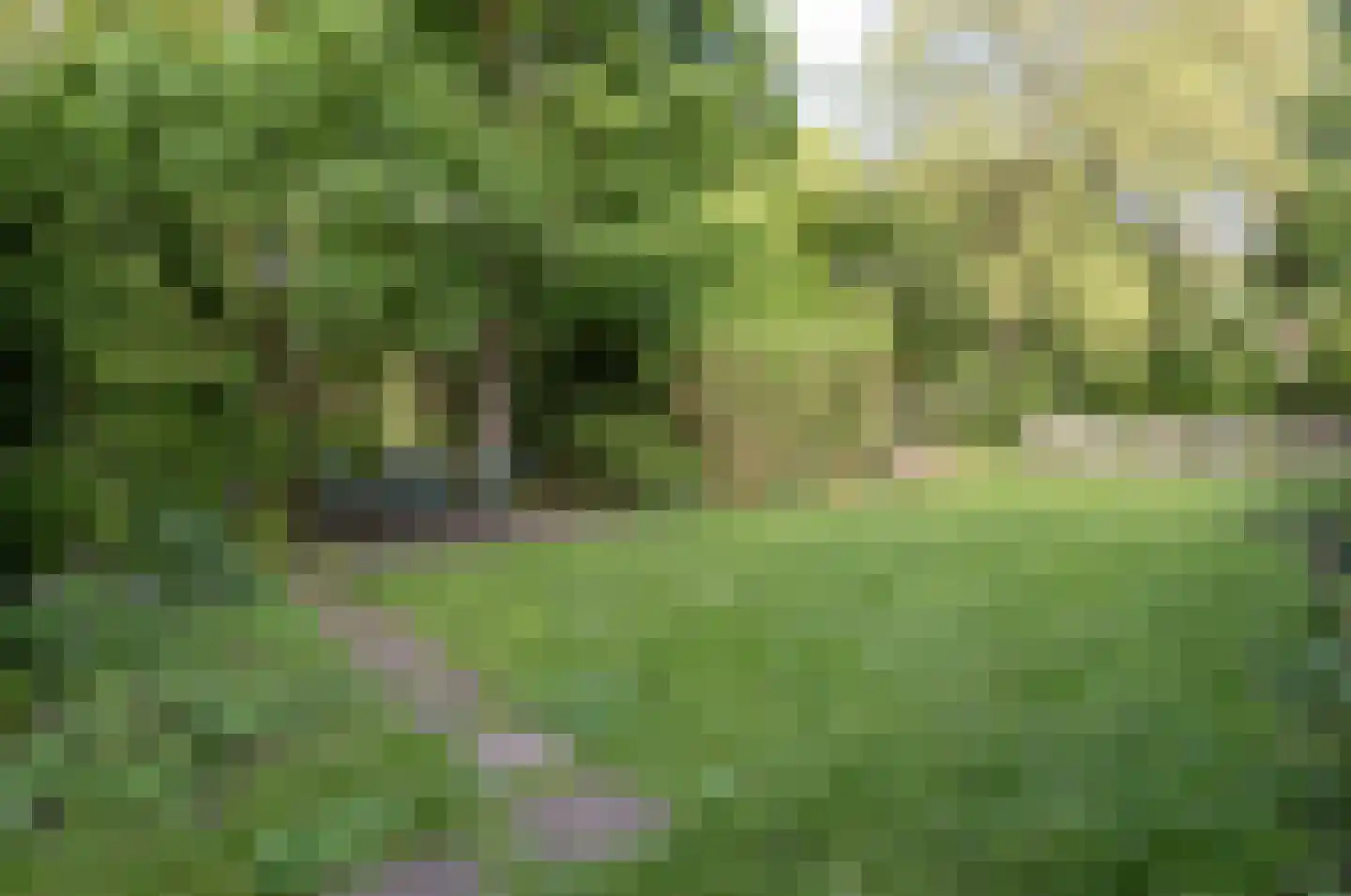 Nudestraat 1 Wageningen thumbnail 34