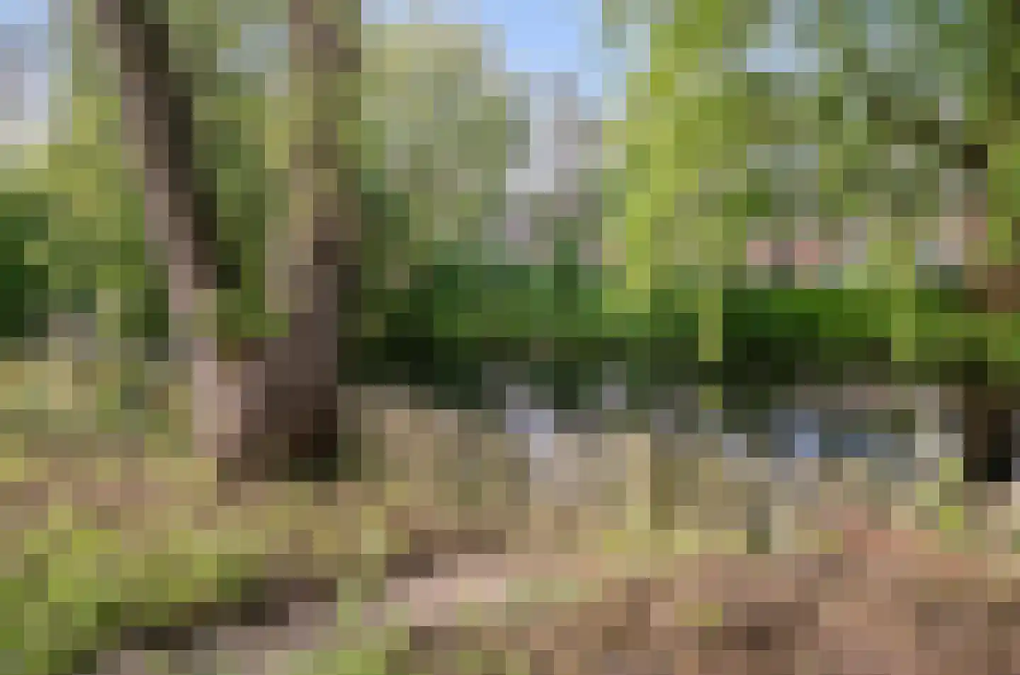 Nudestraat 1 Wageningen thumbnail 35