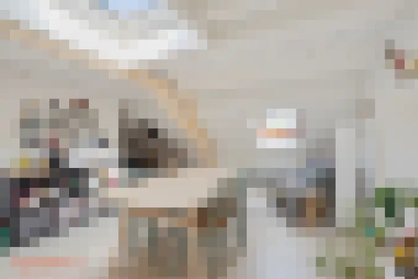 Nudestraat 1 Wageningen thumbnail 49
