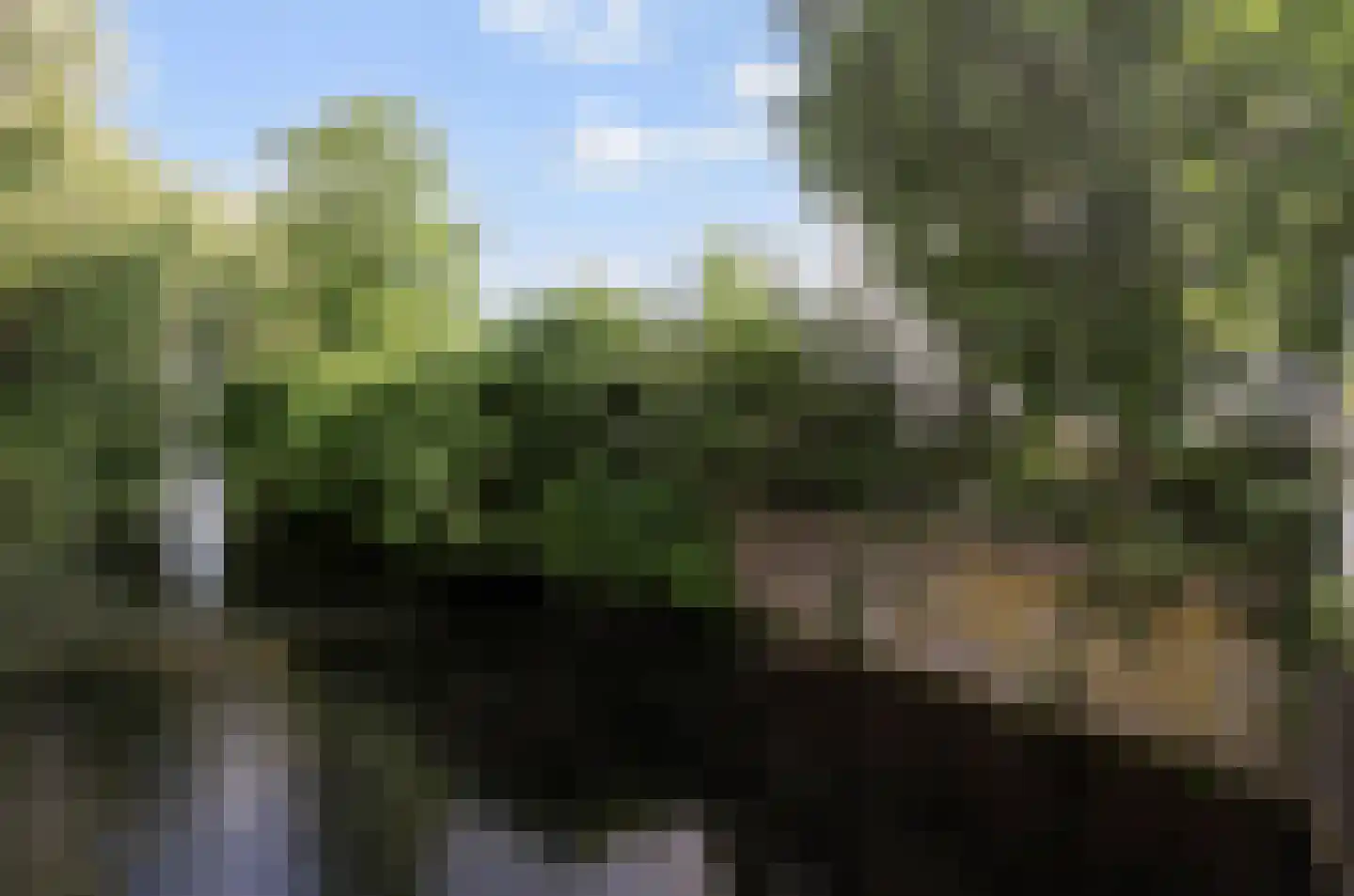 Nudestraat 1 Wageningen thumbnail 5
