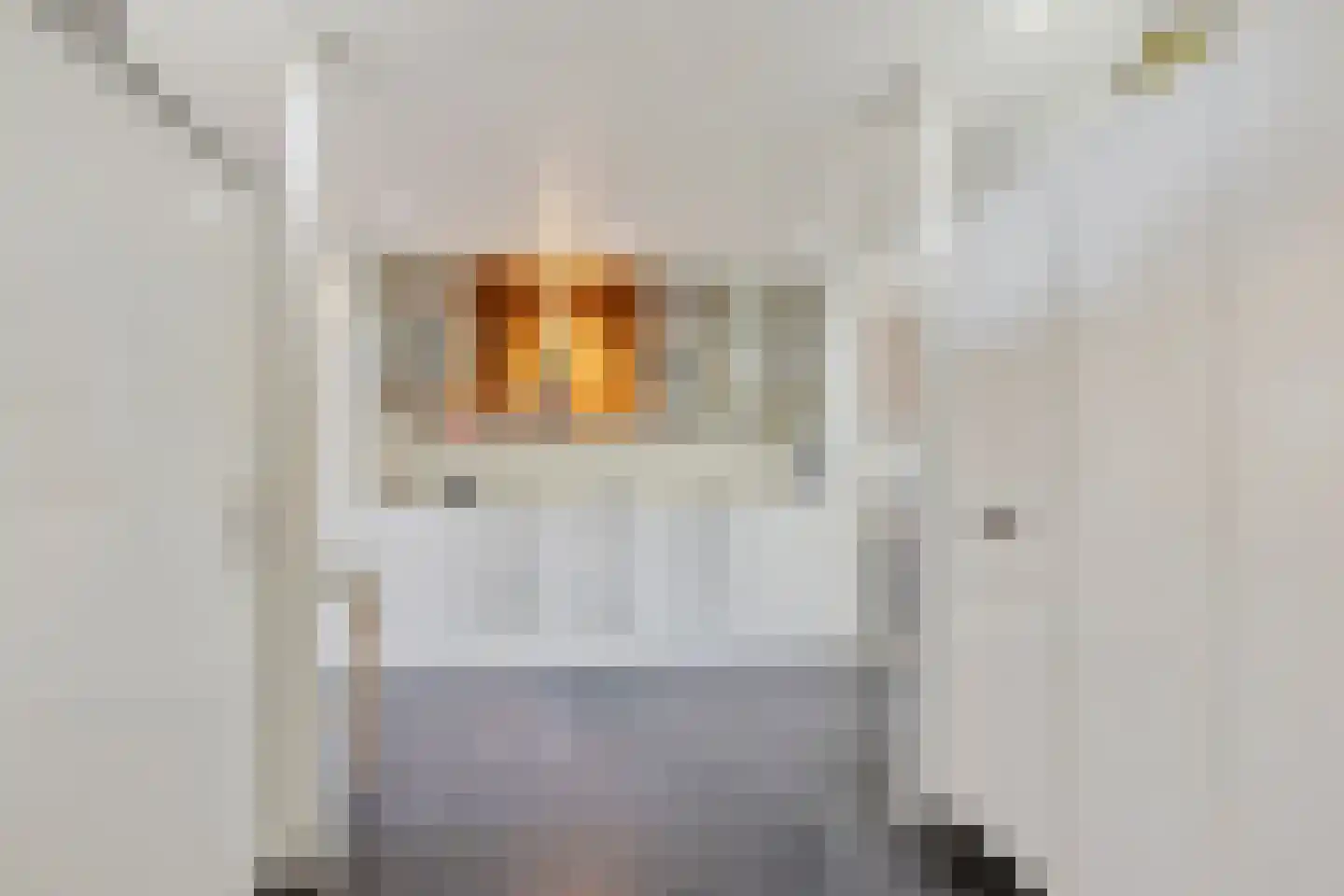 Nudestraat 1 Wageningen thumbnail 9
