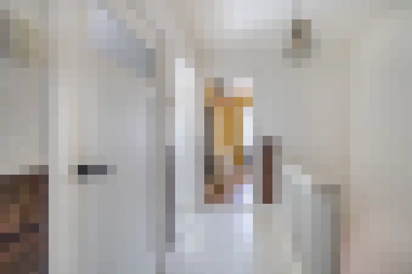 Nudestraat 12 Wageningen thumbnail 33