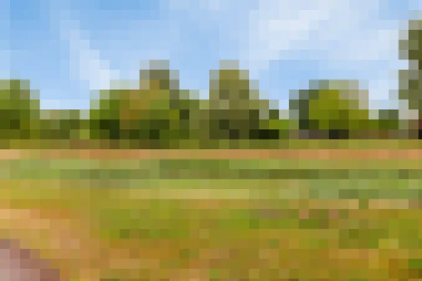 Nuenderbeekselaan 27 Nuenen thumbnail 33
