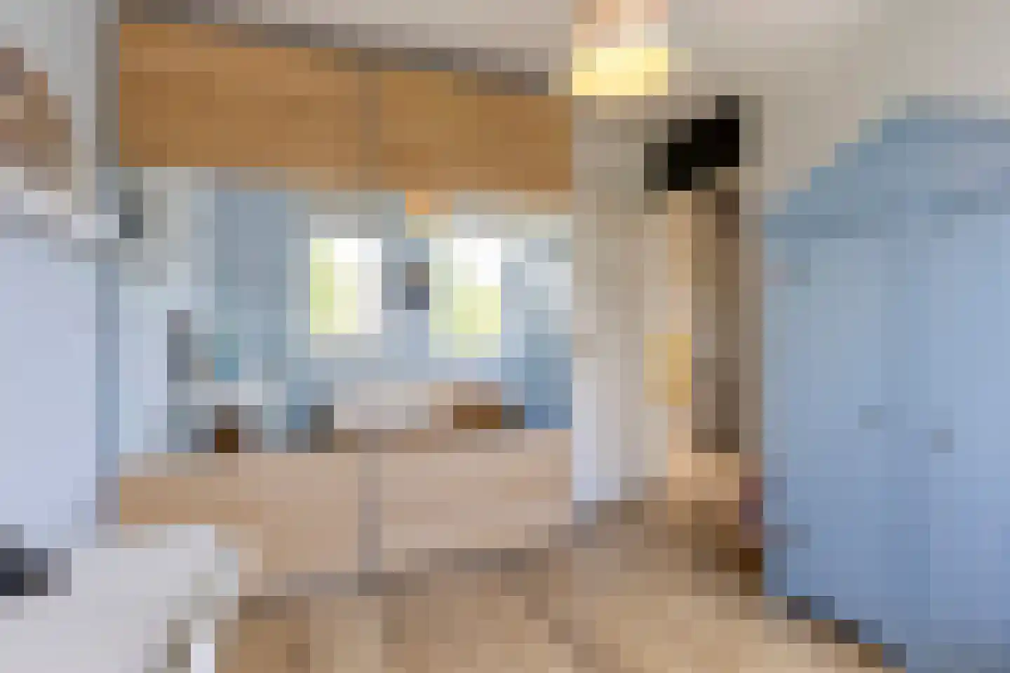 Nuenderbeekselaan 79 Nuenen thumbnail 13